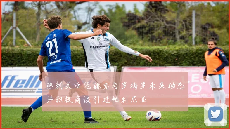 热刺关注范赫克与罗梅罗未来动态并积极商谈引进帕利尼亚