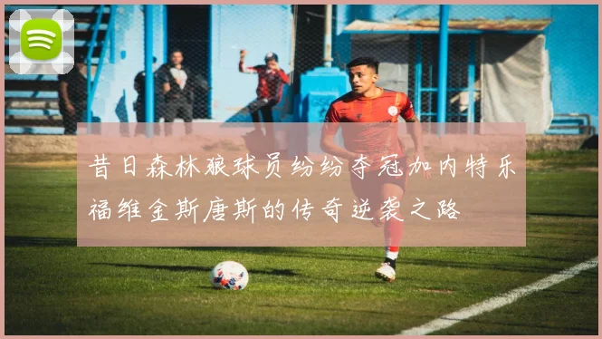 昔日森林狼球员纷纷夺冠加内特乐福维金斯唐斯的传奇逆袭之路