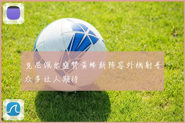 克尼佩尔盛赞黄蜂新阵容外线射手众多让人期待